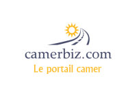 Cameriz.com Cameroun Logo