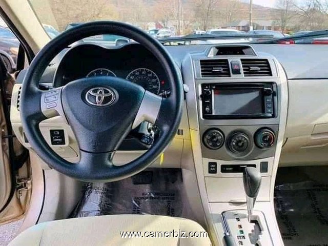 Toyota Corolla - 10051