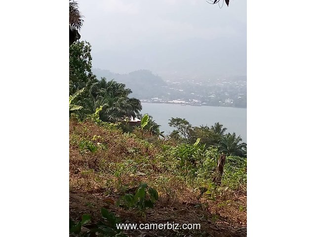Sea side lands in Limbe for sale - 10455
