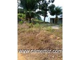 Sea side lands in Limbe for sale - 10455