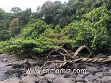 Seaside lands for sale in Limbe, Cameroon 