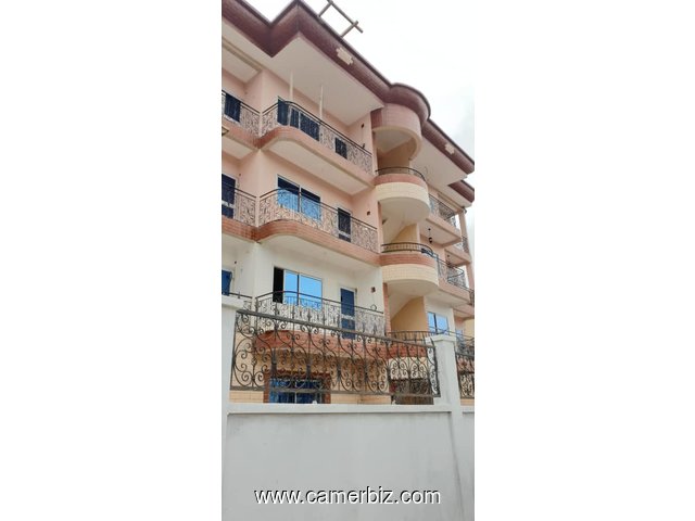 Appartement de 02 chambres à louer à Nsimeyong - 20734