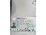 Visa  visiteur ET  travail   - 2440