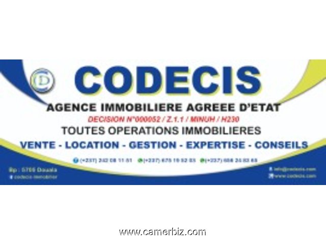 CODECIS IMMOBILIER: agence de Douala - 25148