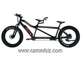 Addmotor MOTAN M-250 750 Watt Electric Tandem Bike - 3241