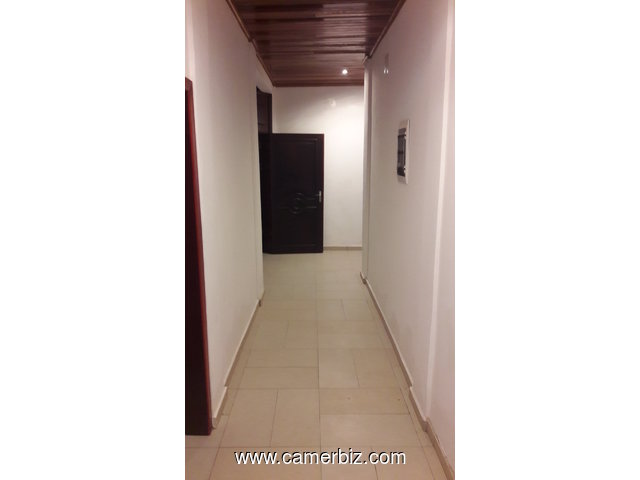 2 Appartements de standing à louer - Santa Barbara (Bonamoussadi - Douala) - RESIDENCE SECURISEE - 32758