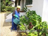 jardinier mobile yaoundé