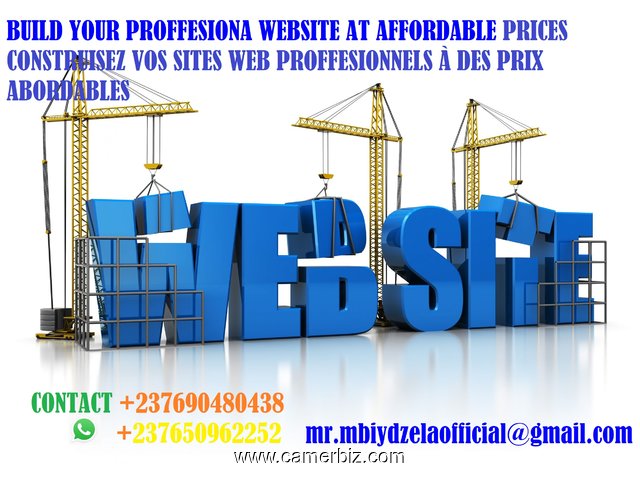 Professional and affordable websites in cameroon - 3315