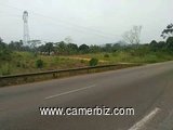 Terrain agricole bordure de route de 500 hectares non titré à louer à Makondo dans la Sanaga-Maritim