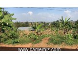 Well situated 1700m² land in Mbengwi at Njembeng for Sale. Genuine Land Title 