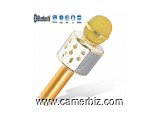 Microphone Bluetooth WS-858 AVEC Haut-parleur Compatible avec iPhone PC Android IOS pour Karaoke