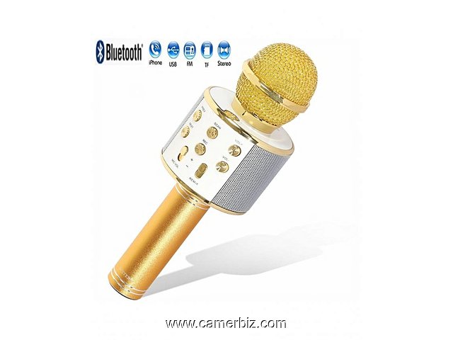 Microphone Bluetooth WS-858 AVEC Haut-parleur Compatible avec iPhone PC Android IOS pour Karaoke - 4848