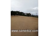 Terrain Titré a Vendre a Douala Ndogpassi, 6000 m² (12 lots de 500 m²) - 8891