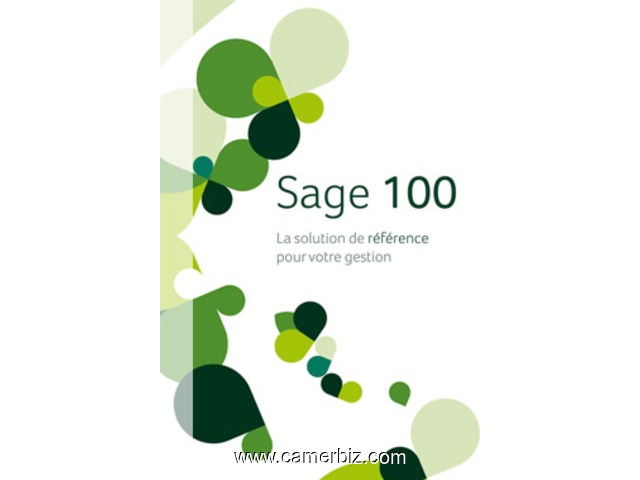 Sage 100cloud Generation I7 Sql V7 + Ws 2019 + Sql Server Enterprise - 9817
