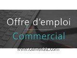 Recherche des commerciaux polyvalent  - 10089