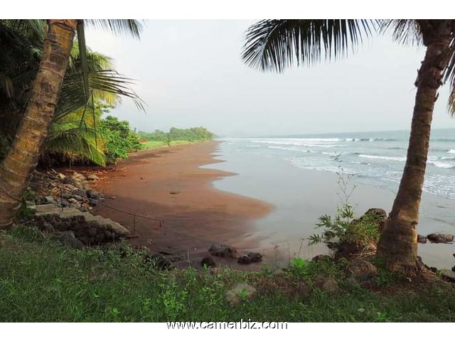 TERRAINS PIED DANS L'EAU A VENDRE A KRIBI - 10093