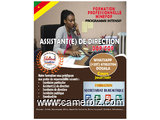 Formation professionnelle en Assistante De Direction. Secrétaire Particulier. Secrétaire... - 10099