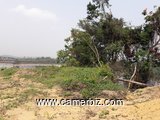 Vends terrain Japoma bord du fleuve