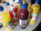 Vente des jus de fruits naturel et suivie nutritionniste diététicienne - 10348