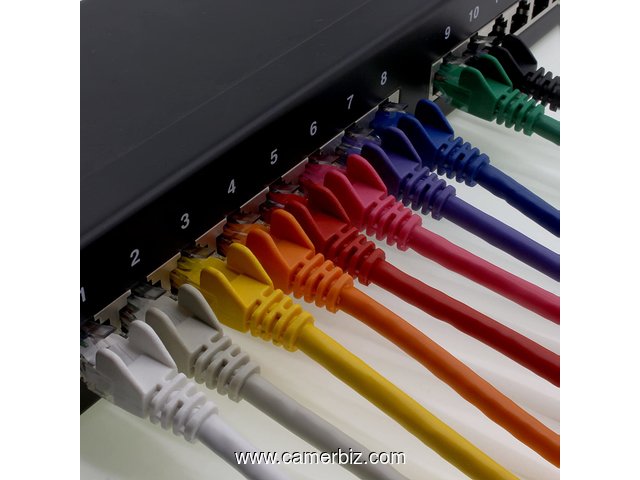 Câbles réseaux - 10353