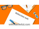 redacteur web - 10400