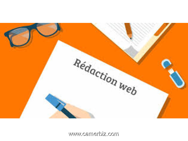 redacteur web - 10400