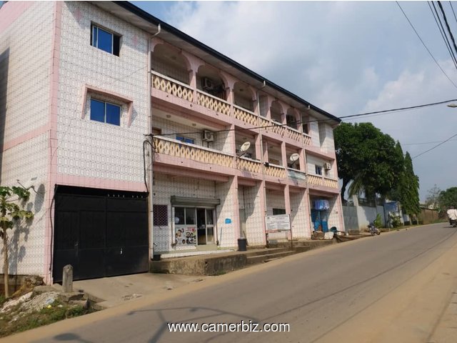 2 immeubles comprenant 11 Appartements et 3 Boutiques a vendre a Douala Makepe - 10430