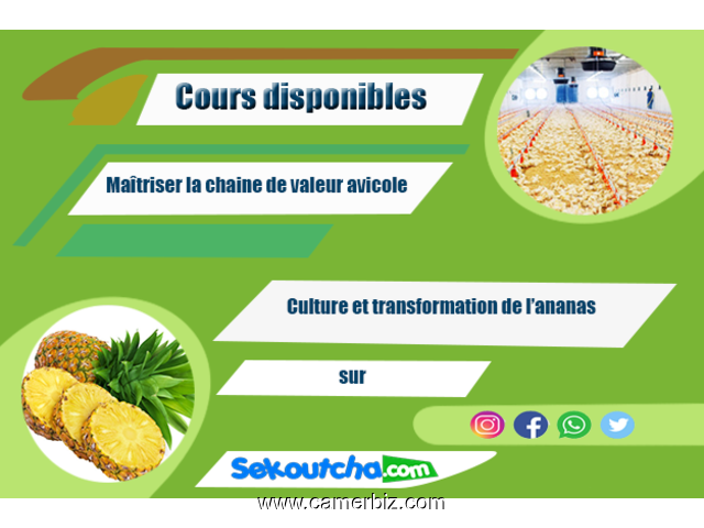 Les formations  disponibles sur la plateforme de Sekoutcha - 10491