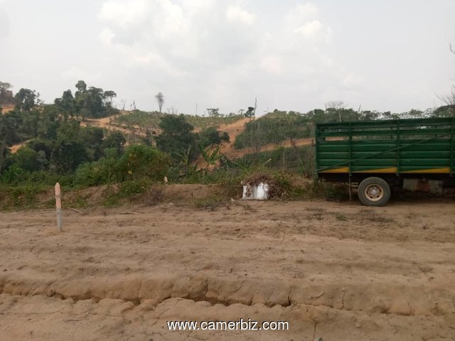 terrain titré à vendre du coté de Lendi Beyaya (Douala 5ème) à très bon prix - 10515