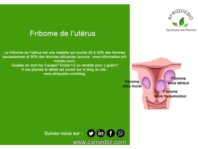 Traitement Naturel Fibrome - 10518