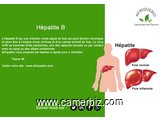 Traitement Naturel de l'Hépatite B - 10520