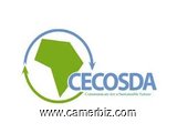 Volunteer Communication assistant - 10565