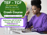 TCF –TEF à Bafoussam et à Douala