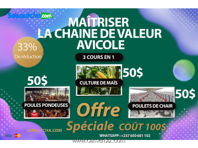 Maîtriser la chaine de valeur avicole - 10899