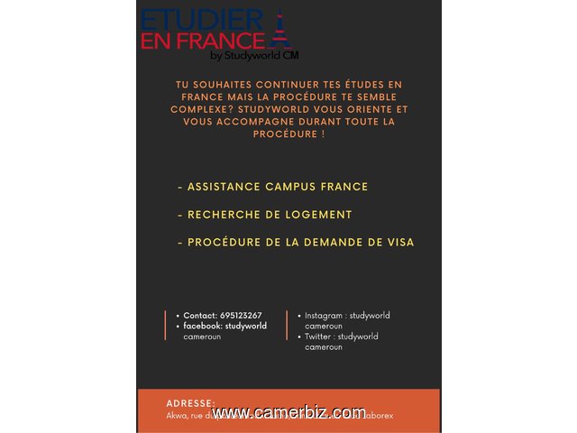 Accompagnement et Orientation dans la demarche des études en France  - 10919