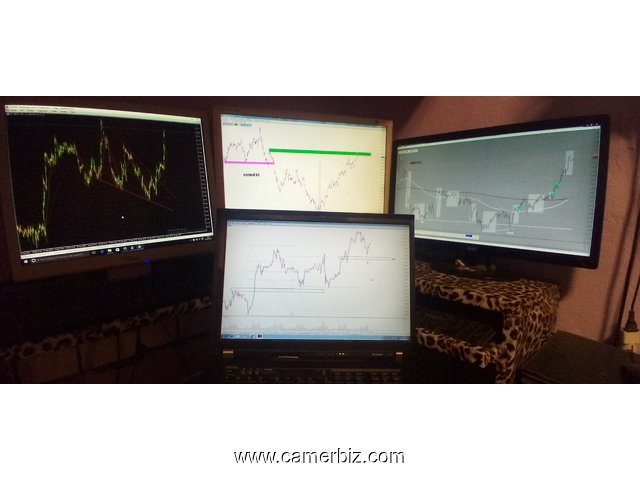 Formation au trading - 11063