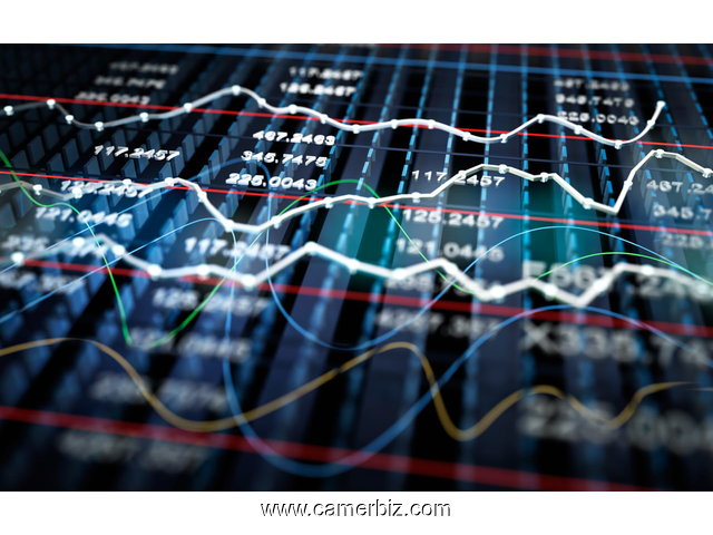 Formation sur le trading( théorie+ pratique) - 11176