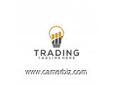 Formation sur le trading( théorie+ pratique) - 11176