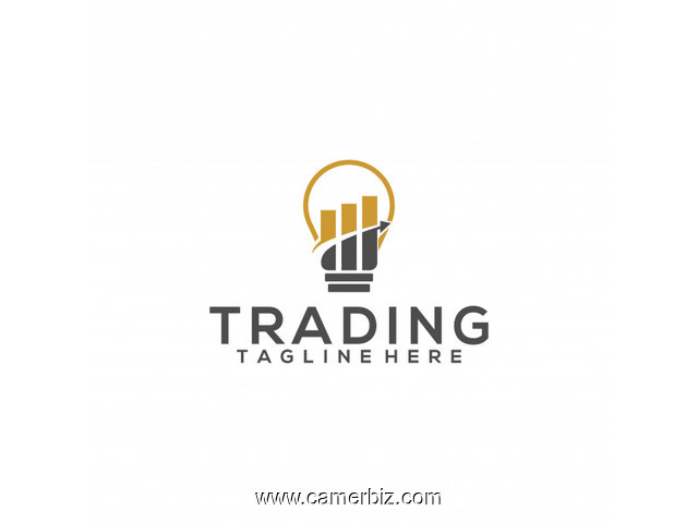 Formation sur le trading( théorie+ pratique) - 11176