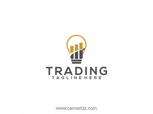 Formation sur le trading( théorie+ pratique) - 11176