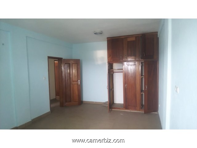 Appartement 2 chambres à louer - 11189