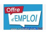 offre d'emploi à yaoundé - 11229