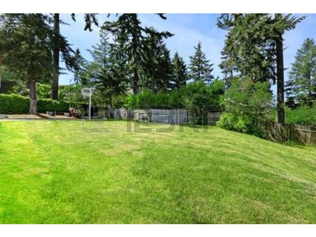 terrain à vendre bonapriso.très bon prix - 1136