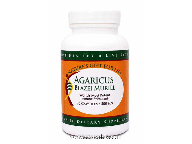 NG4L AGARICUS BLAZIER MURILL - 11498