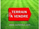 TERRAIN TITRE ET LOTI A VENDRE A NTOUM - ODZA - 11817