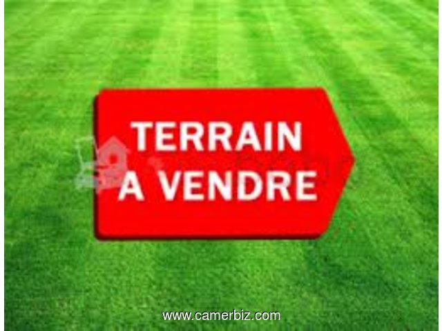 TERRAIN TITRE ET LOTI A VENDRE A NTOUM - ODZA - 11817