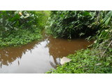 TERRAIN TITRE, LOTI BORDURE DE RIVIERE A VENDRE KRIBI-ELABE