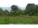 terrain pieds dans l'eau titré et loti a vendre Kribi-Elabe