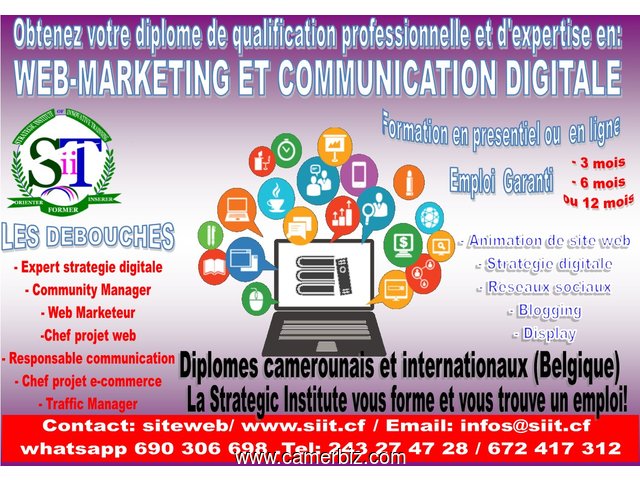 WITH STRATEGIC INSTITUTE OF CAMEROON YOUR BUSINESS MUST CHANGE HAND  WITHIN  3DAYS WITH THE CREATION - 1377
