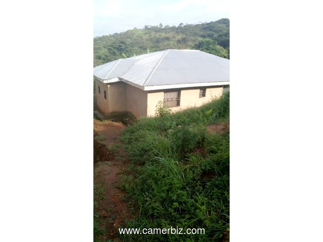 House for sale mile six Nkwen Bamenda - 13909